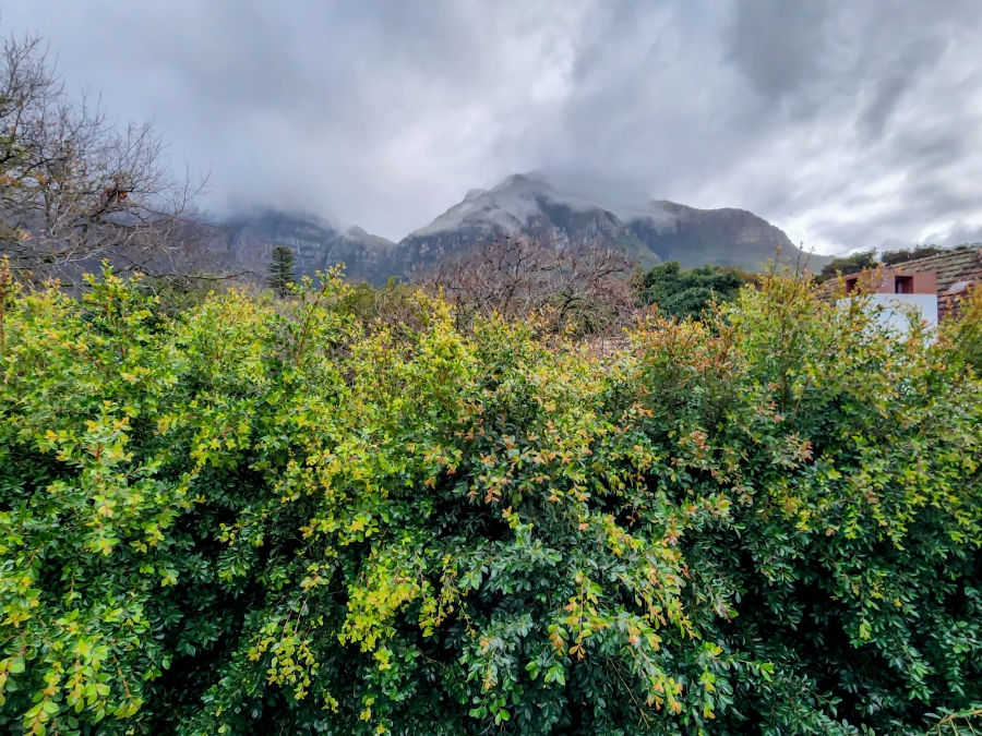 3 Bedroom Property for Sale in Rondebosch Western Cape